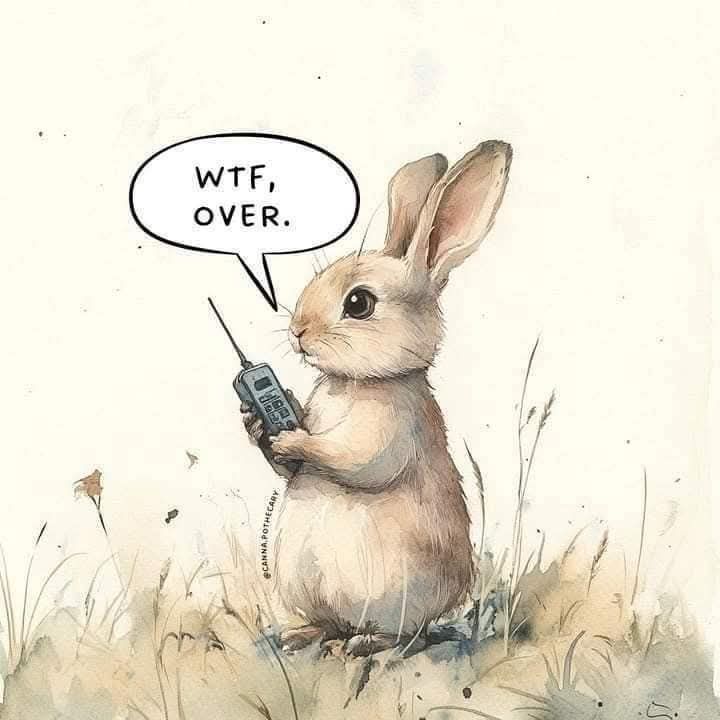 wtf